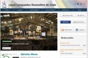 incaro-services-informatiques-herault-ligue-languedoc-roussillon-judo